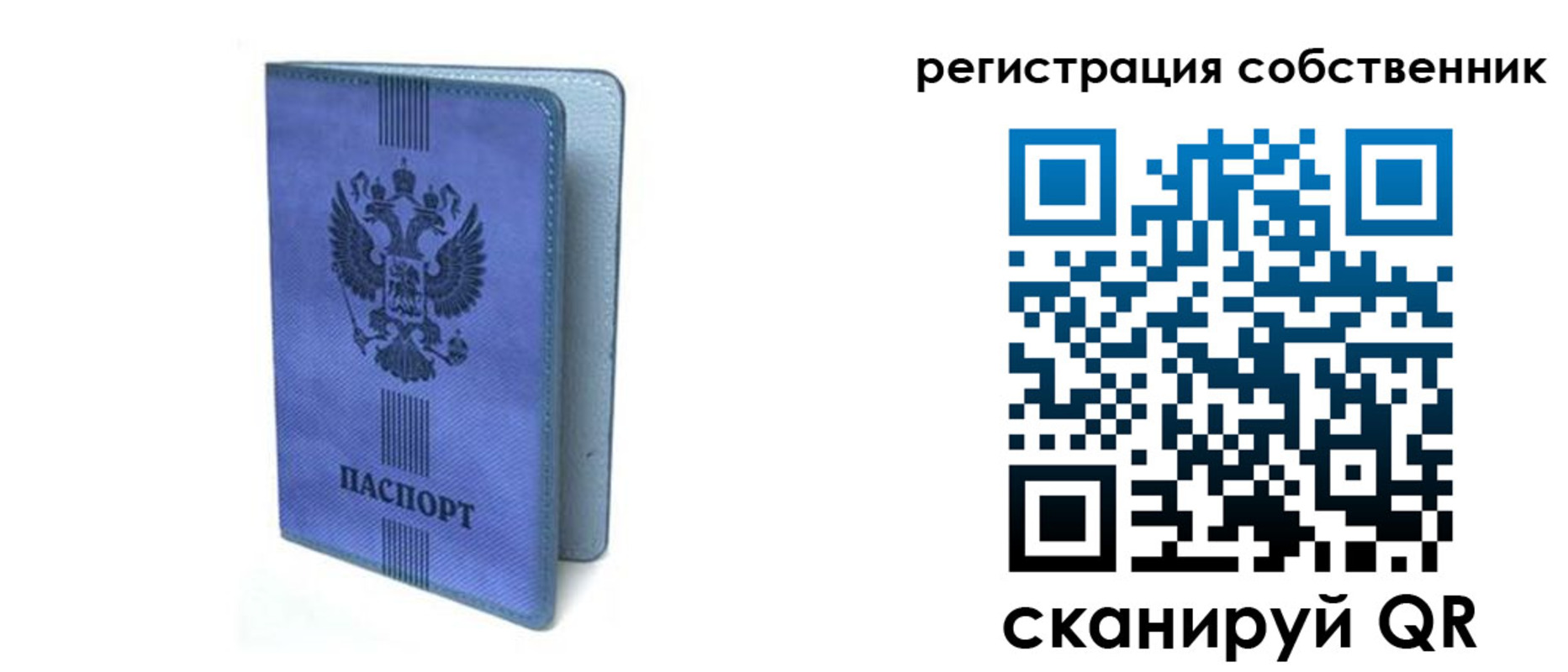 прописка 2025 в Павловске