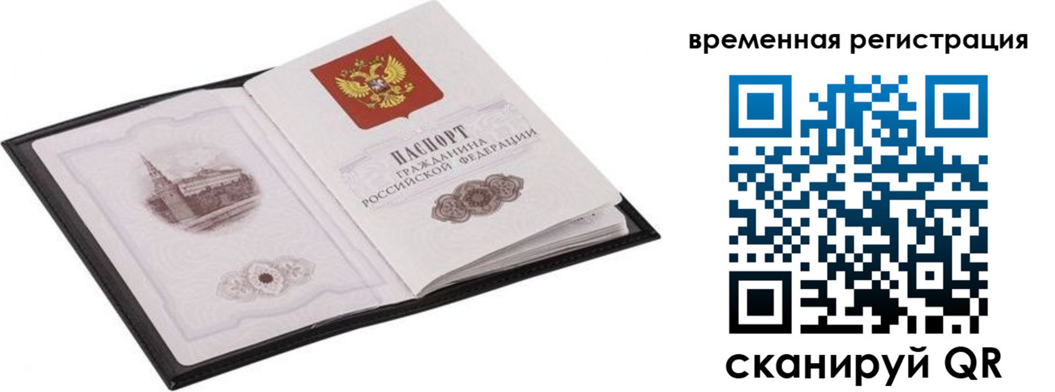 где прописаться в Павловске